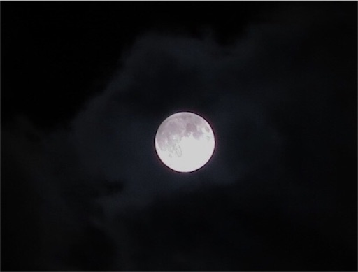 f:id:biz-m:20150927213903j:image f:id:biz-m:20150927213903j:image