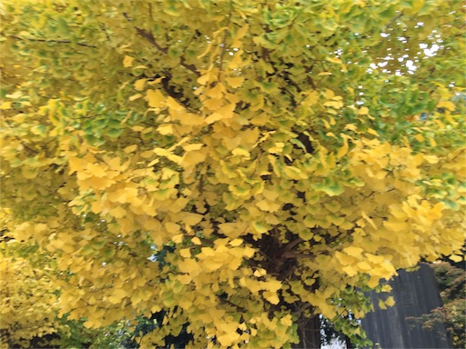 f:id:biz-m:20151113214355j:image f:id:biz-m:20151113214355j:image