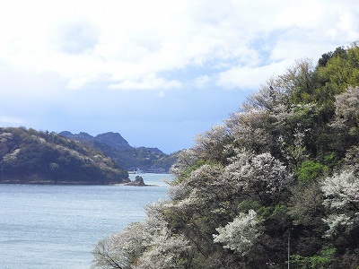 f:id:bizenwakakusa:20140404102012j:plain f:id:bizenwakakusa:20140404102012j:plain