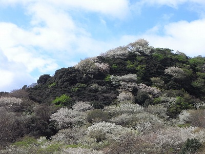 f:id:bizenwakakusa:20140404102013j:plain f:id:bizenwakakusa:20140404102013j:plain