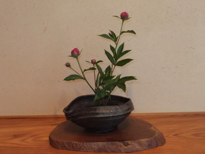 f:id:bizenwakakusa:20140518115848j:plain f:id:bizenwakakusa:20140518115848j:plain