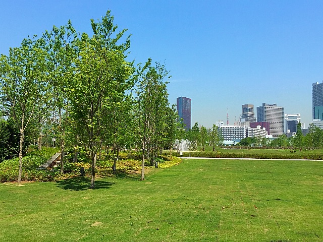 f:id:blackjunjun:20150514113115j:image f:id:blackjunjun:20150514113115j:image