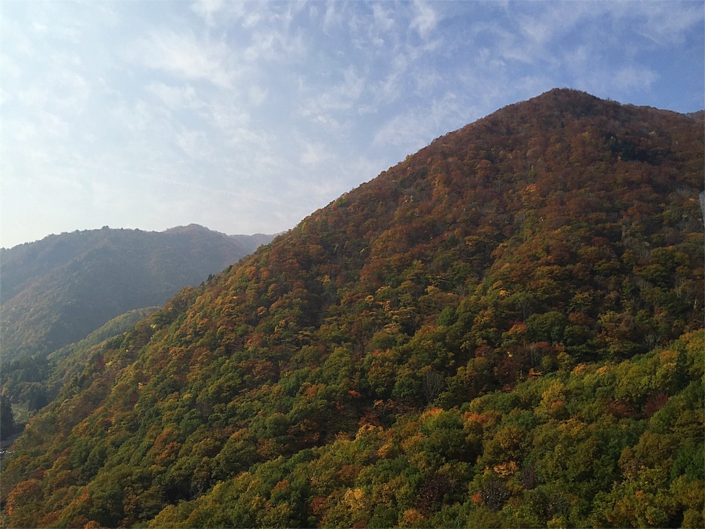 f:id:blackjunjun:20160103130746j:image f:id:blackjunjun:20160103130746j:image