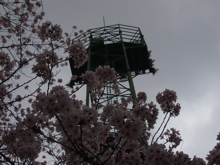 f:id:blackthrush:20150413153359j:image f:id:blackthrush:20150413153359j:image