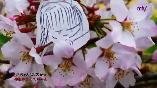 f:id:blessedmary:20150221002748j:plain f:id:blessedmary:20150221002748j:plain