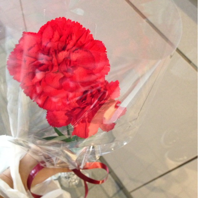 f:id:blessedmary:20150510200126j:plain f:id:blessedmary:20150510200126j:plain
