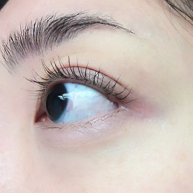 f:id:blessglassnail:20150207143848j:plain f:id:blessglassnail:20150207143848j:plain