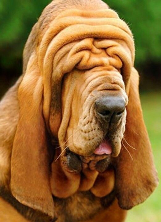 f:id:block30:20160409215827j:plain