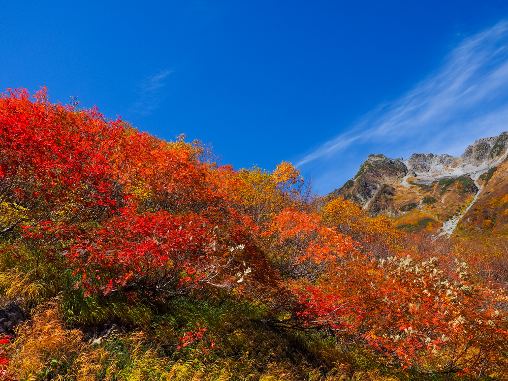 f:id:blog-media:20151014122155j:plain
