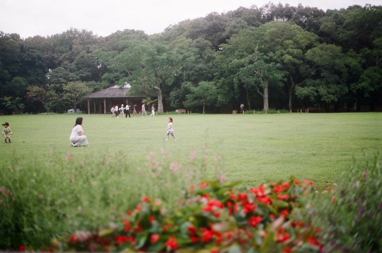 ピクニック（写真）