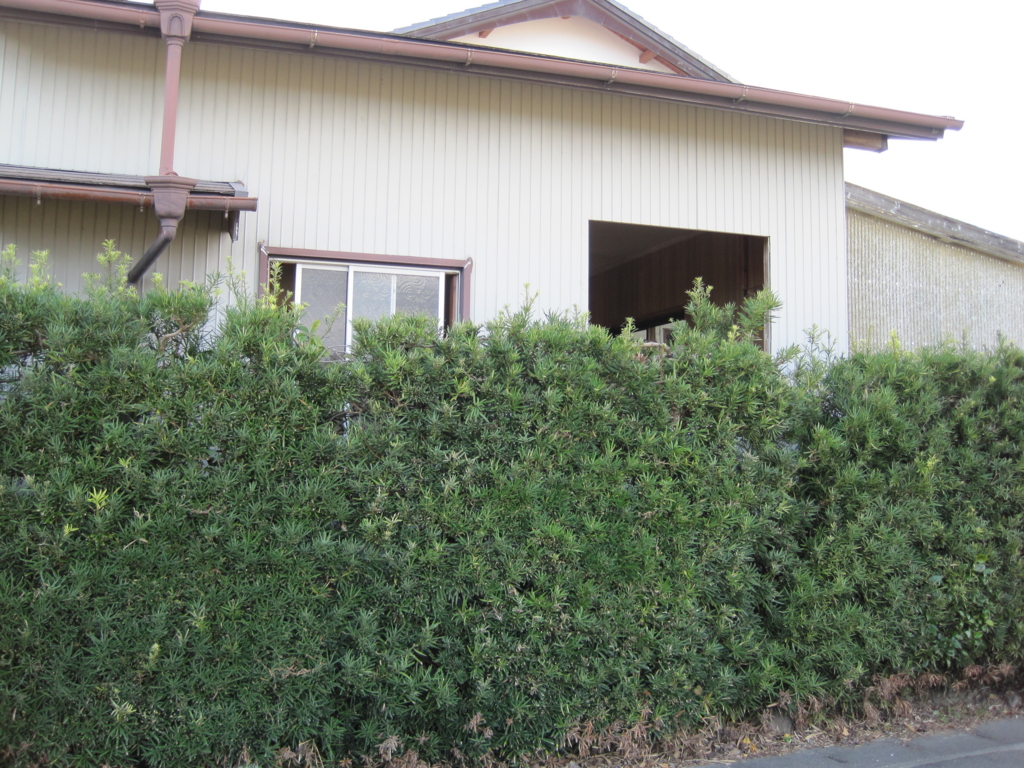 f:id:bluebeemoon:20151217222403j:plain