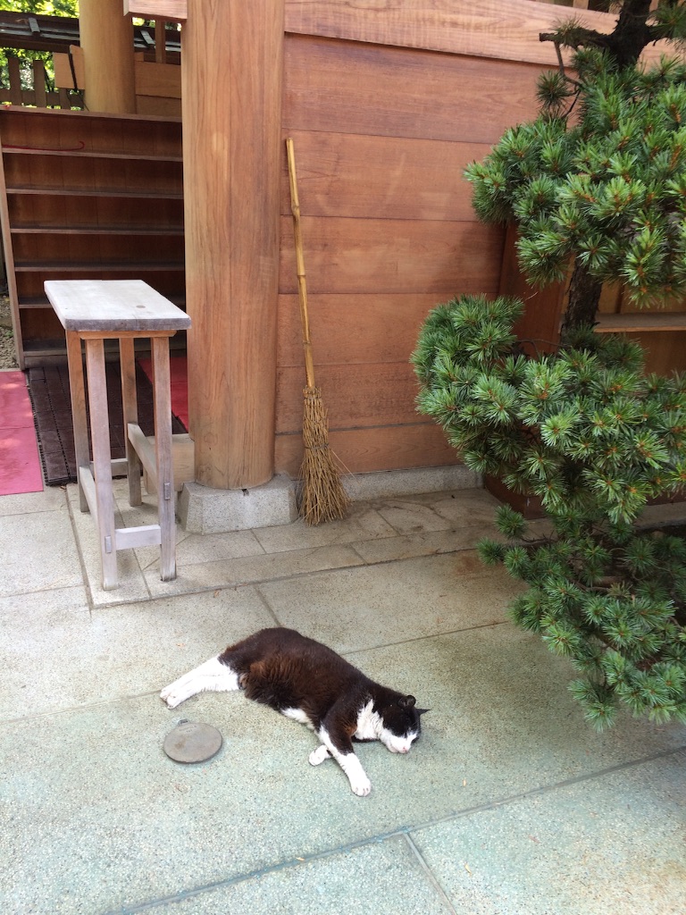 f:id:bluecafe:20150716084518j:image f:id:bluecafe:20150716084518j:image
