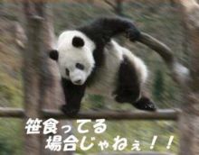 f:id:bluefantasy:20150524044139j:plain f:id:bluefantasy:20150524044139j:plain
