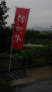 f:id:bluefog:20160721010404j:image f:id:bluefog:20160721010404j:image