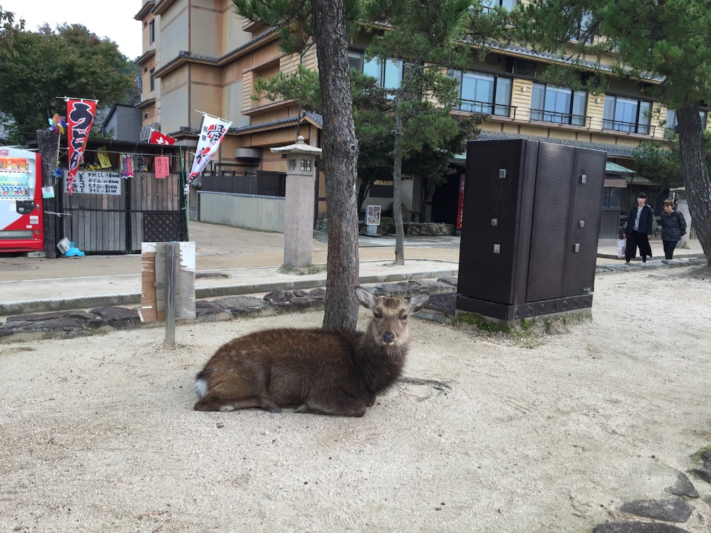 f:id:blueocchi:20151119200259j:image f:id:blueocchi:20151119200259j:image