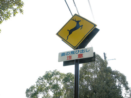 f:id:bluestar_music:20120103214725j:image