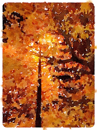 f:id:bluestar_music:20140115222742j:image