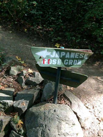 f:id:bluestar_music:20141022230844j:plain