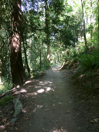 f:id:bluestar_music:20141022230846j:plain