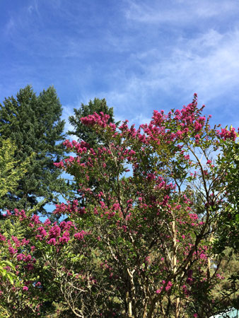 f:id:bluestar_music:20141022230847j:plain