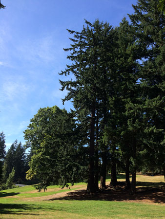 f:id:bluestar_music:20141022230850j:plain