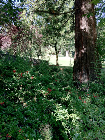 f:id:bluestar_music:20141022230851j:plain