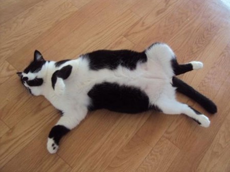 f:id:bluetears_osaka:20130428105535j:image f:id:bluetears_osaka:20130428105535j:image