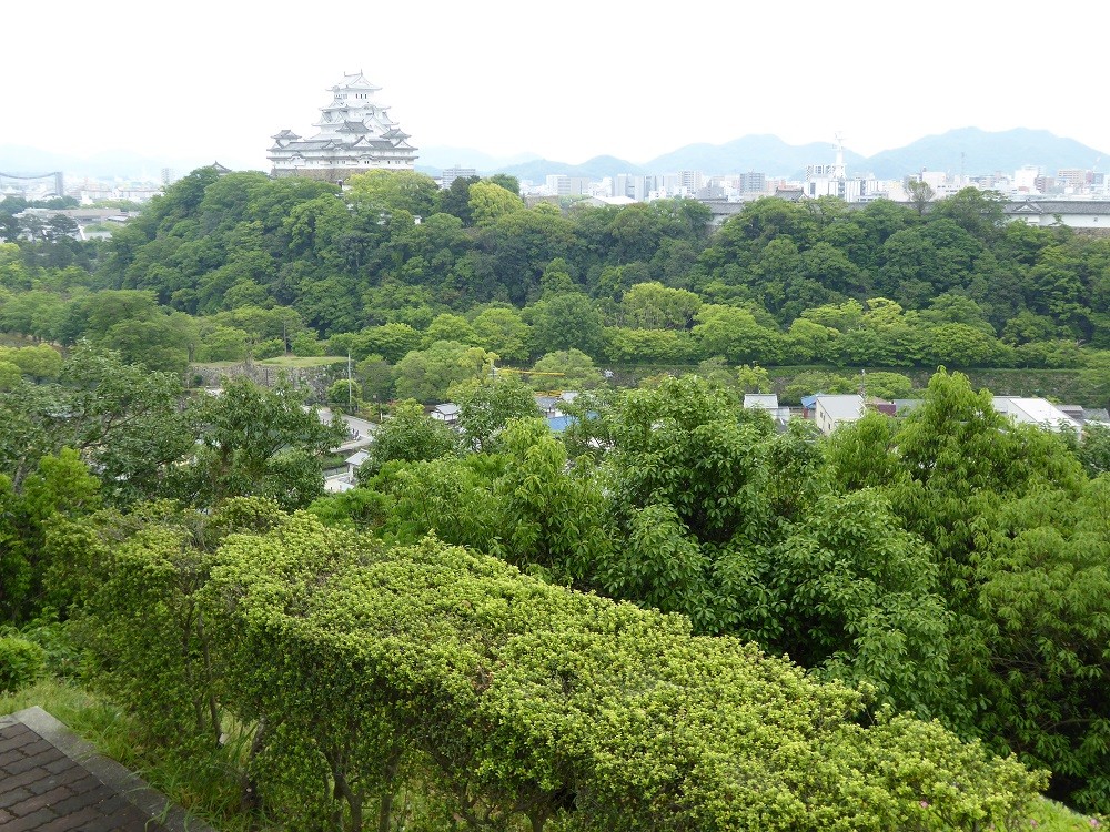 f:id:bluetears_osaka:20160507104953j:plain