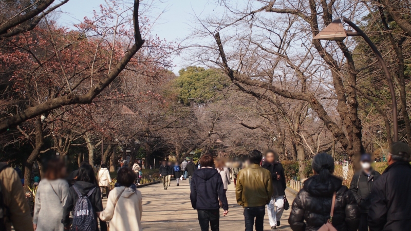 f:id:blumemond10:20150217230535j:plain f:id:blumemond10:20150217230535j:plain