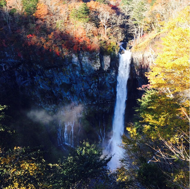f:id:bnnfsh:20141025231550j:plain f:id:bnnfsh:20141025231550j:plain