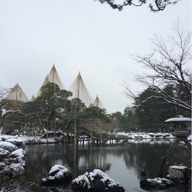 f:id:bnnfsh:20150215231045j:plain f:id:bnnfsh:20150215231045j:plain