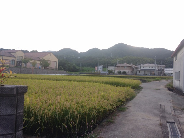f:id:bob_s_an:20150924004208j:plain f:id:bob_s_an:20150924004208j:plain