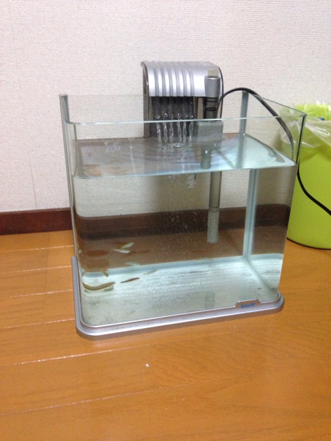 f:id:bom7110:20140323211546j:plain f:id:bom7110:20140323211546j:plain