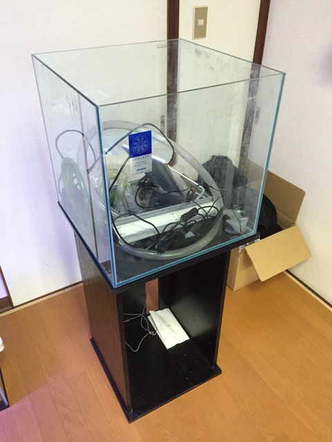 f:id:bom7110:20150131152012j:plain f:id:bom7110:20150131152012j:plain
