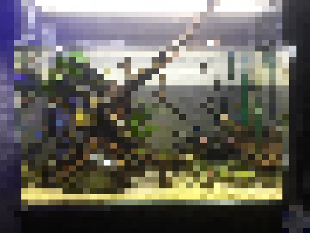 f:id:bom7110:20150426003935j:plain f:id:bom7110:20150426003935j:plain