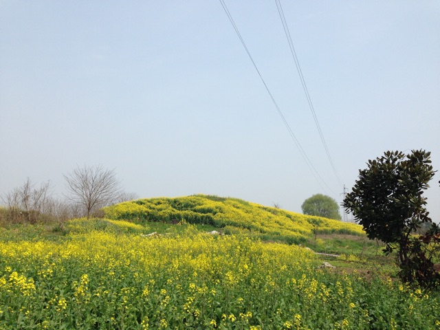 f:id:bootonChina:20150329121947j:plain f:id:bootonChina:20150329121947j:plain
