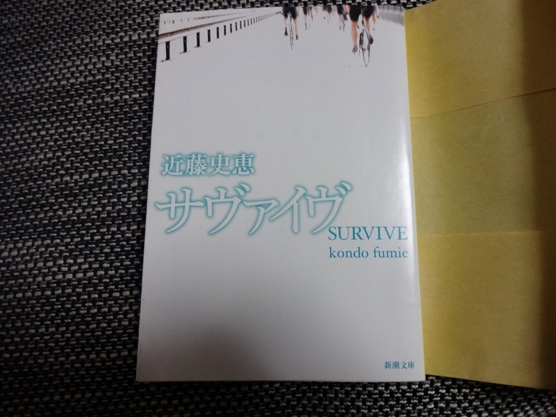 f:id:borishoi-arakawa:20150105221848j:plain f:id:borishoi-arakawa:20150105221848j:plain