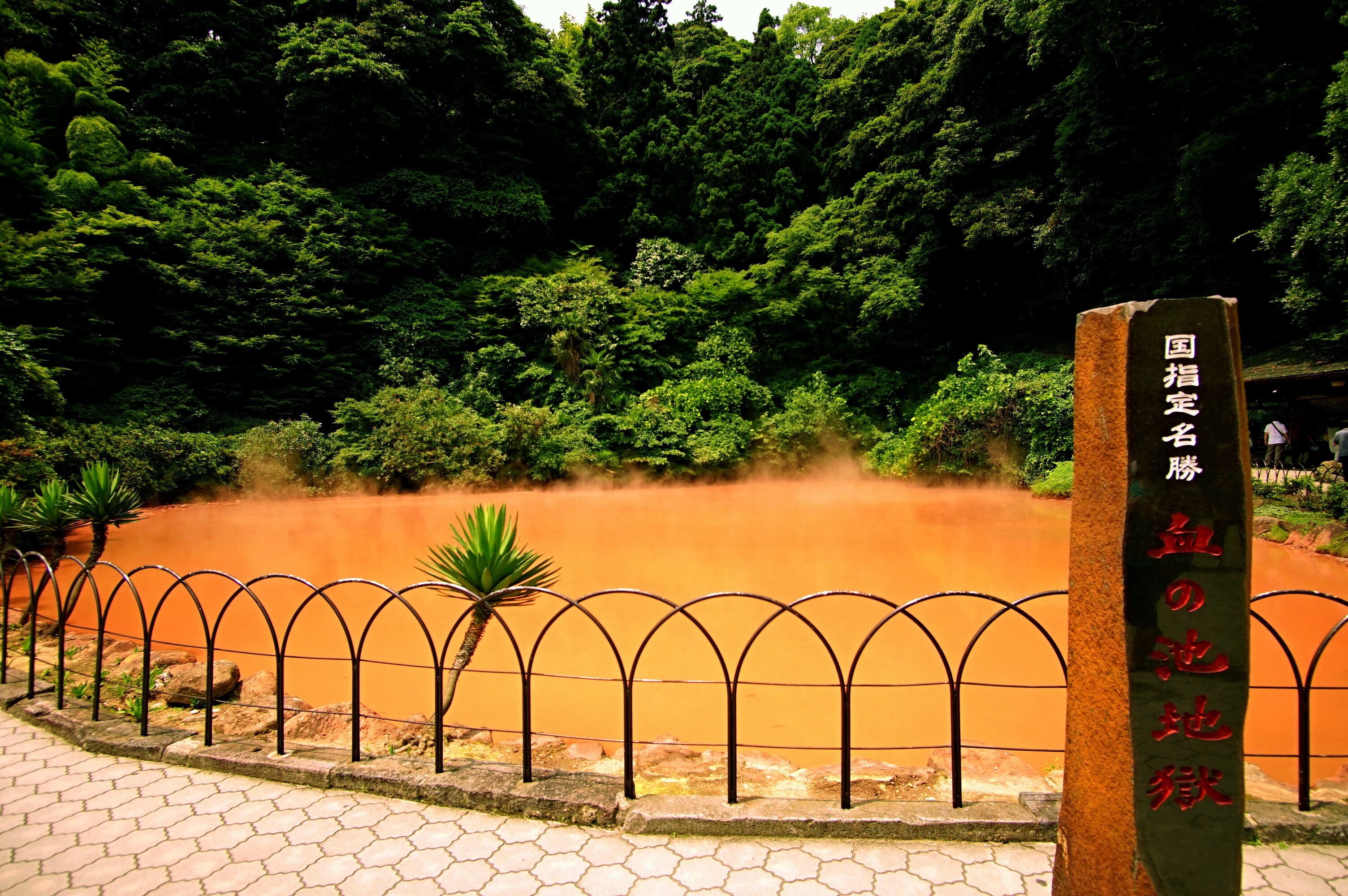 f:id:born-r:20150807145354j:image f:id:born-r:20150807145354j:image