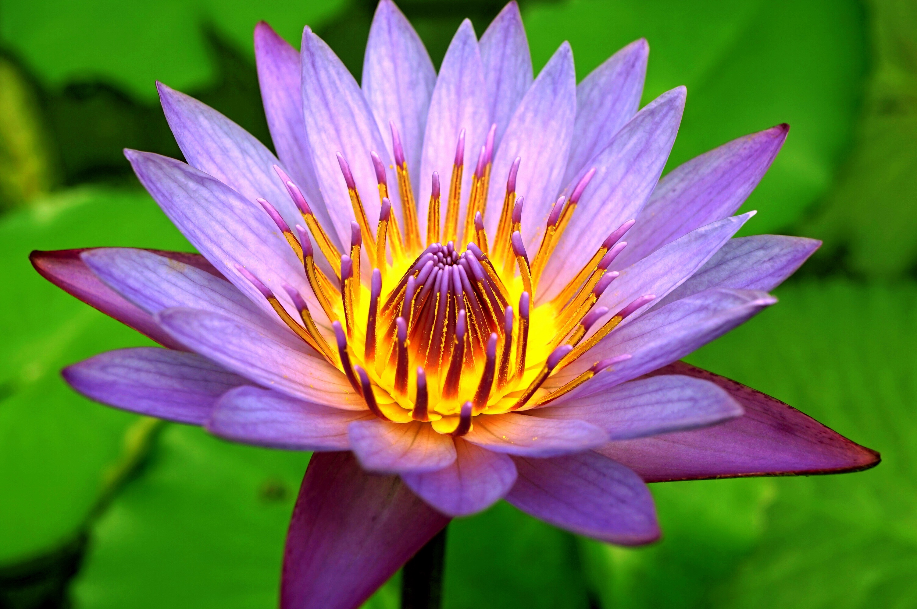 f:id:born-r:20150807145420j:image f:id:born-r:20150807145420j:image