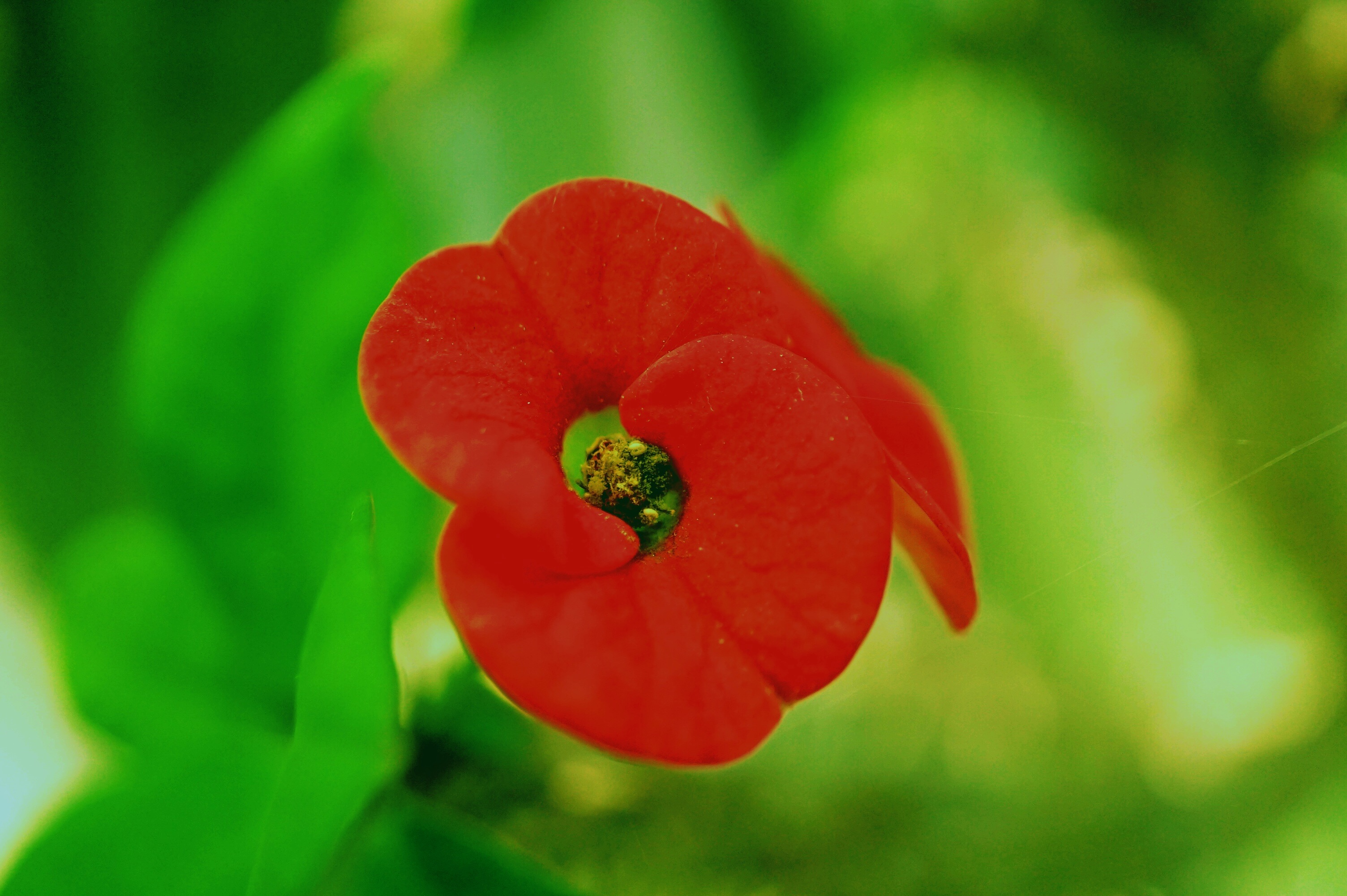f:id:born-r:20150807145508j:image f:id:born-r:20150807145508j:image
