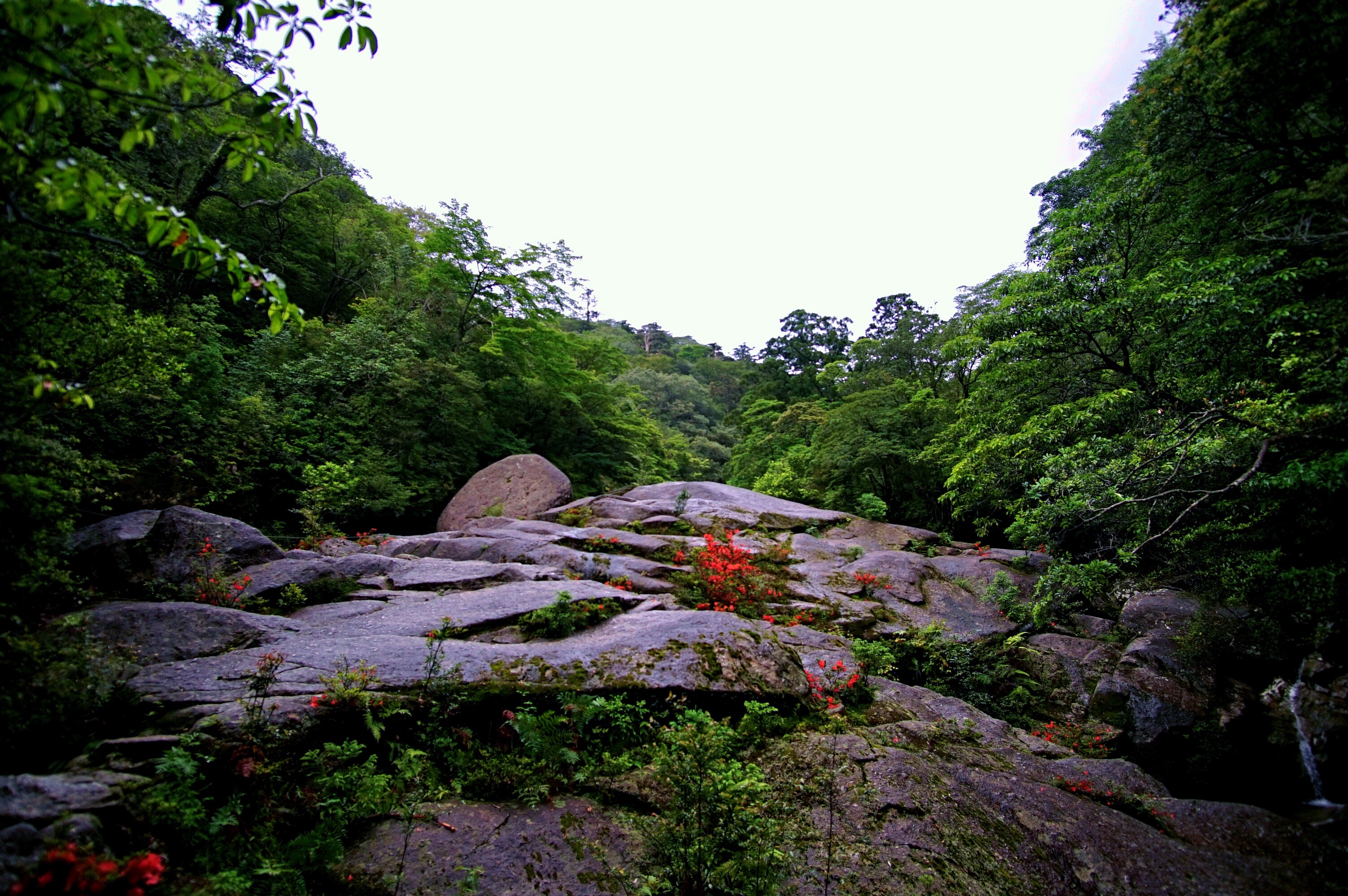 f:id:born-r:20150807193145j:image f:id:born-r:20150807193145j:image