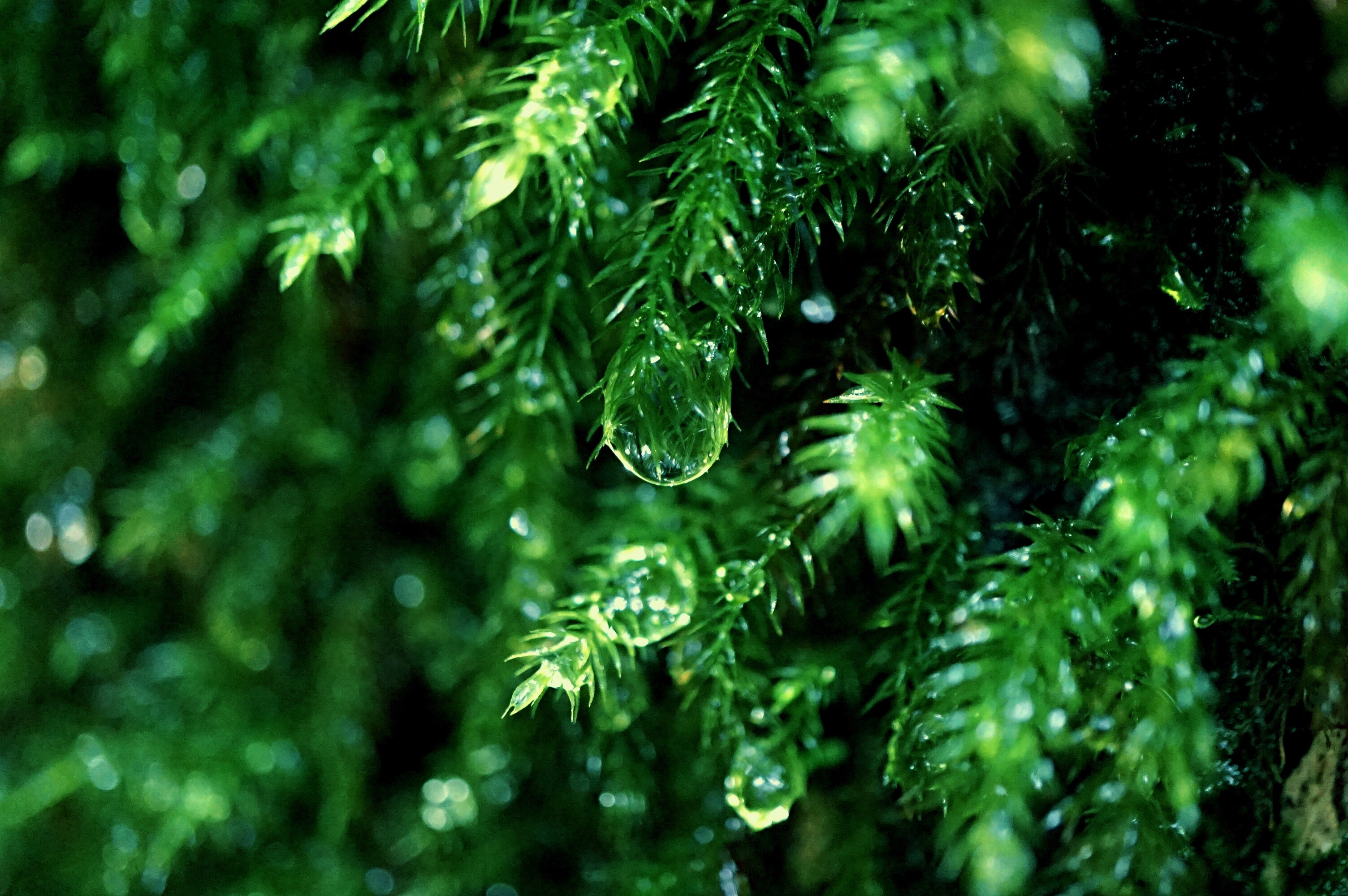 f:id:born-r:20150807193924j:image f:id:born-r:20150807193924j:image