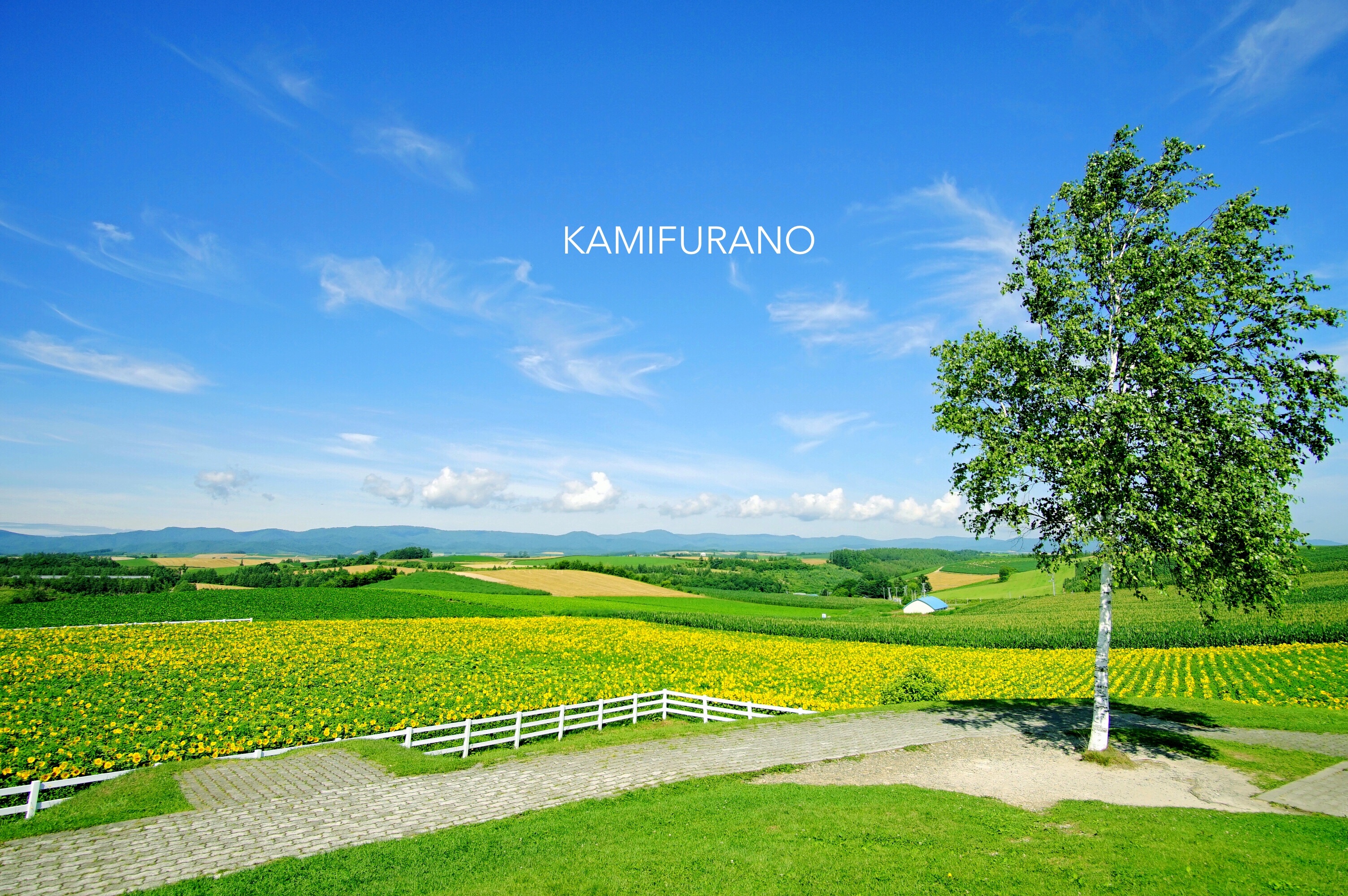 f:id:born-r:20150808004040j:image f:id:born-r:20150808004040j:image