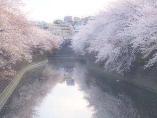 f:id:bossan:20100410175034j:image f:id:bossan:20100410175034j:image