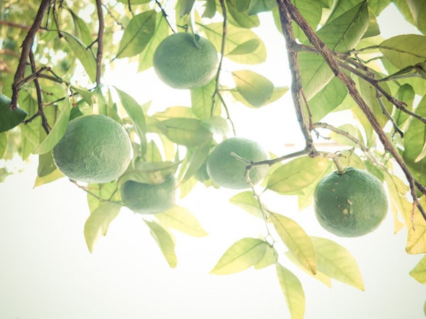 f:id:boundary-line:20120922160708j:image f:id:boundary-line:20120922160708j:image
