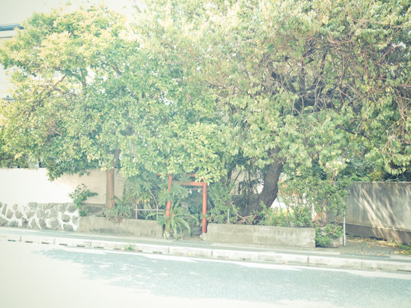 f:id:boundary-line:20120922160710j:image f:id:boundary-line:20120922160710j:image
