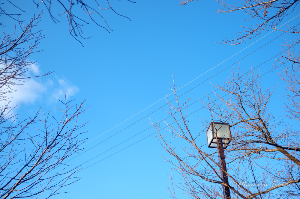 f:id:boundary-line:20190113165154j:image