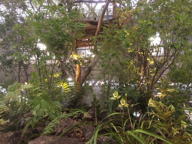 f:id:bounoya:20150509153337j:image f:id:bounoya:20150509153337j:image