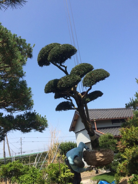 f:id:bounoya:20150515204303j:image f:id:bounoya:20150515204303j:image