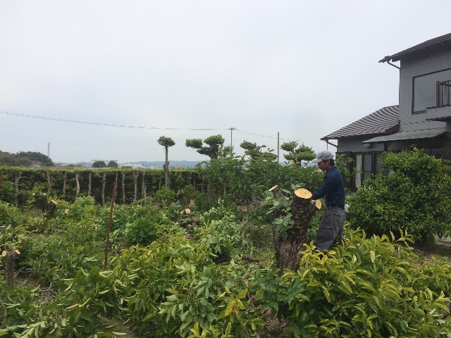 f:id:bounoya:20150523223131j:image f:id:bounoya:20150523223131j:image